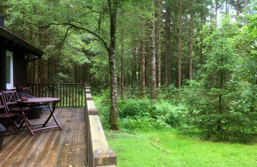 Taynuilt Cabine | LIEVER est une charmante cabane en rondins dans une belle forêt près du Loch Awe