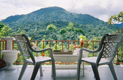 Naranjito Maison | Light of Dawn