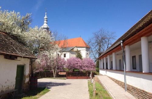 Regoly Maison | Likaskalács