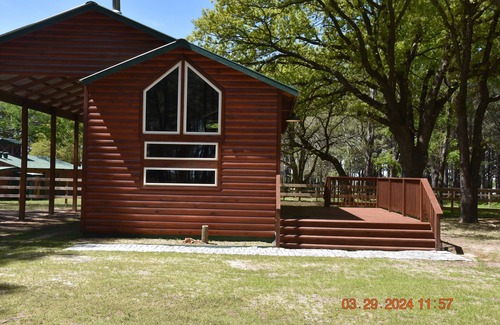 Canton Cabine | Lil' Cabin In The Woods