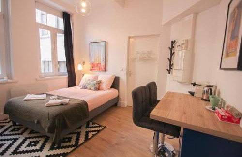 Lille Centre Ville Appartement | Lille Centre - Nice, cozy and functional studio