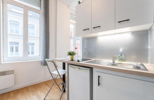 Saint-Maurice Pellevoisin Appartement | Lille Saint Maurice - Nice and functional studio