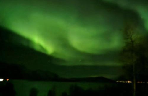 Lyngen Maison | Lillehytta årøybuktneset