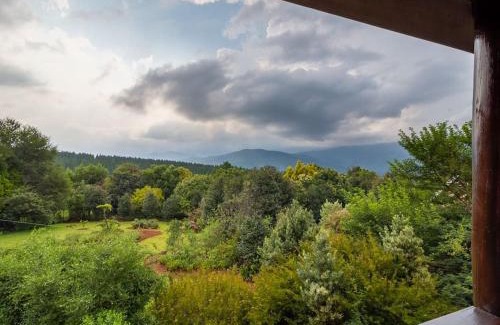 Sabie Maison | Lilly’s-place