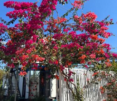 Duong Minh Chau Maison | Lily Homestay BaDen
