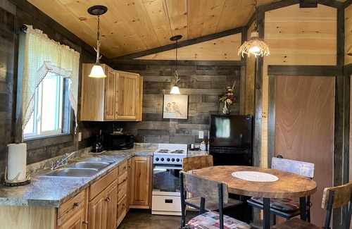 Large Cabine | LILY PAD: Cozy Cabin with Unique Charm overlooking small pond on our property.