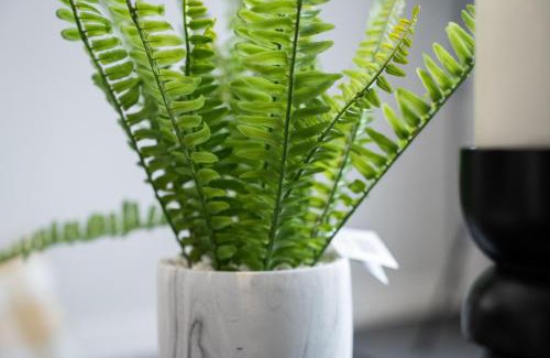 Linthouse Appartement | Linburn Apartment