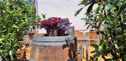 Ayl Appartement | Linden's Pension-Restaurant