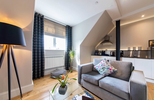 Old Town Appartement | Linton Collection - 28 North Bridge