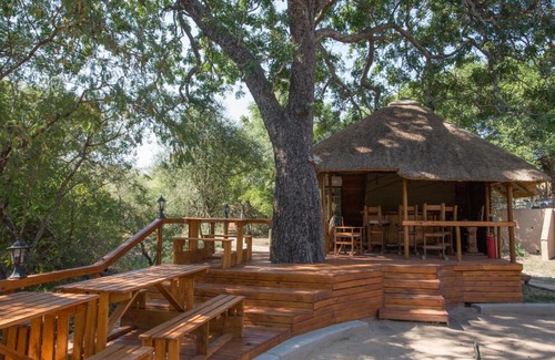 Thorny Bush Game Reserve Cabine | Lion Tree Top Lodge
