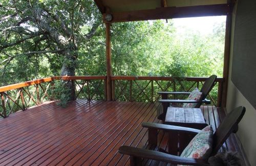Thorny Bush Game Reserve Cabine | Lion Tree Top Lodge