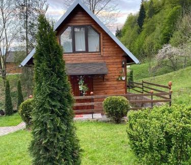 Snidavka Maison | Lisowa Hatka Yavoriv