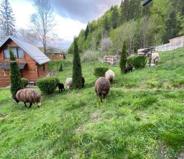 Snidavka Maison | Lisowa Hatka Yavoriv