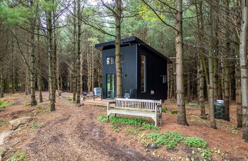 Chatsworth Cabine | Little Cabin in the Pines