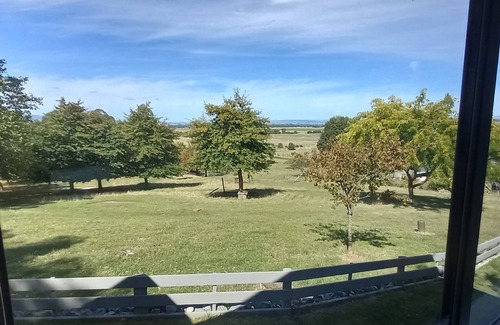 Feilding Cabine | Little Forest Cabins overnight accommodation. No. 1