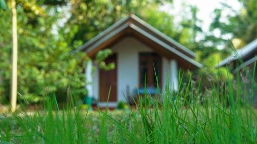 Sigiriya Cabine | Little Haven Cottage
