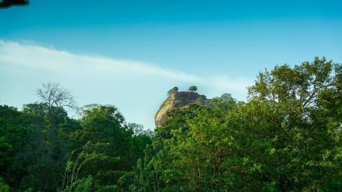 Sigiriya Cabine | Little Haven Cottage