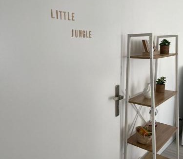 Vierzon Appartement | Little Jungle - T2 avec parking