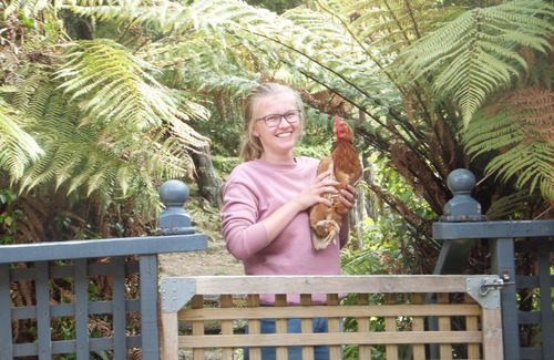 Dunollie Lit Et Petit-Déjeuner | Little Paradise & Petting Farm