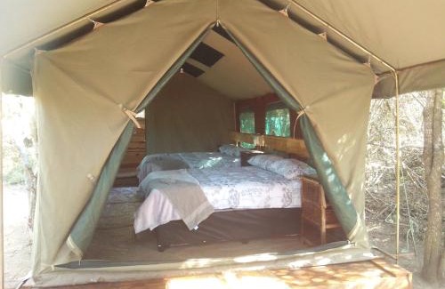 Thorny Bush Game Reserve Autre | Little5 Camp