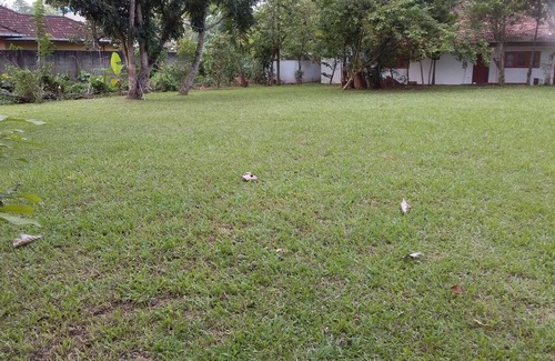 Unawatuna Maison | Live home away from home in a peaceful neighborhood in Unawatuna