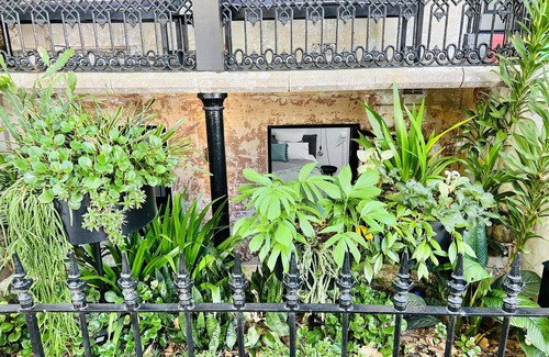 Surry Hills Appartement | Live like a local in the heart of Surry Hills