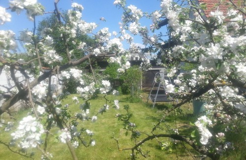 Celle Appartement | Vivre entre la forêt et les prés, calme, confortable, près de la ville PRIX SPÉCIAL À PARTIR DE 38,00