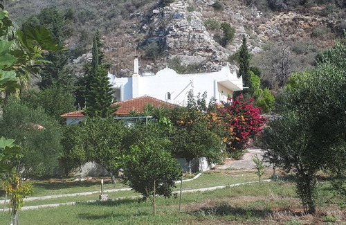 Larissos Villa | VIVRE DANS LA NATURE VILLA 200 m2., 4 chambres 3 bains dans 12. 000 m2 de terrain.