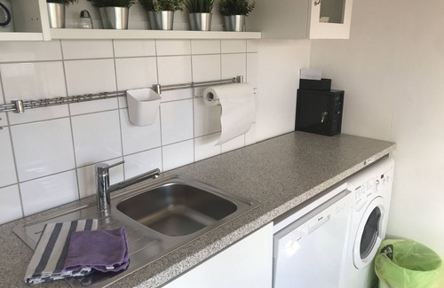 Boerssum Appartement | Vivre comme un renard dans notre "Fuchsbau"