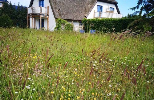 Lancken-Granitz Appartement | Appartement dans la magnifique réserve de biosphère de Rügen