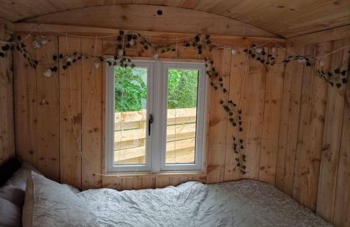 Llandovery Cabine | Tranquil Lodge Retreat in Llandovery