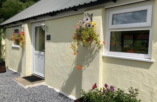 Whitland Maison | Lletty Bach