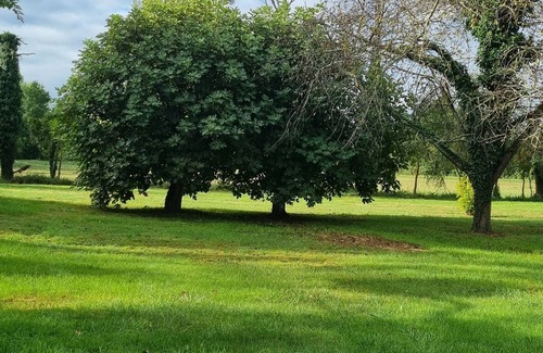 Saint-Laurent Maison | Lobersane, Gîte sérénité à la campagne, moulin à eau dans le pays des Comminges