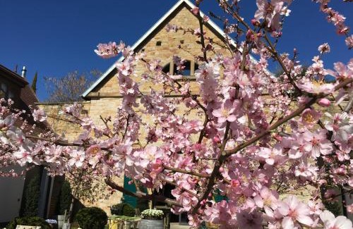 Gimmeldingen Appartement | Loblocher Hof