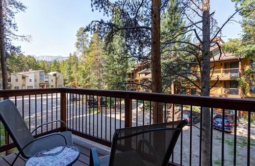 Warrior's Mark Copropriété | Located an easy walk to slopes and apres!