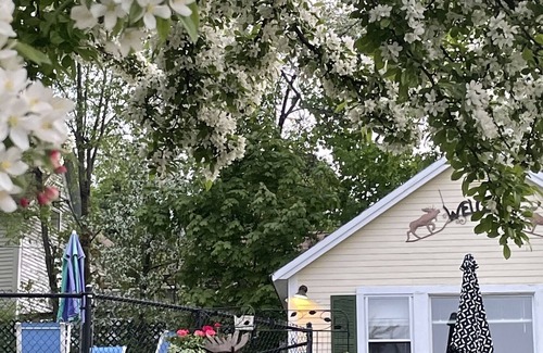 Weirs Beach Cabine | Location, Location, Location! Weirs Beach