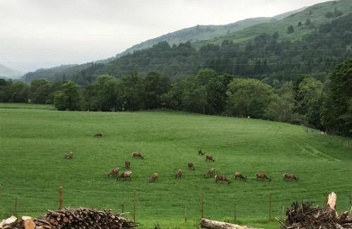 Killin Appartement | Lochay Lodges