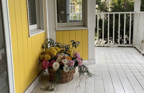 Locust Valley Maison | 🏖🌼SUNSATIONAL 🌞LOCUST VALLEY VILLAGE CHARMER🏖HIGH SPEED INTERNET🎉