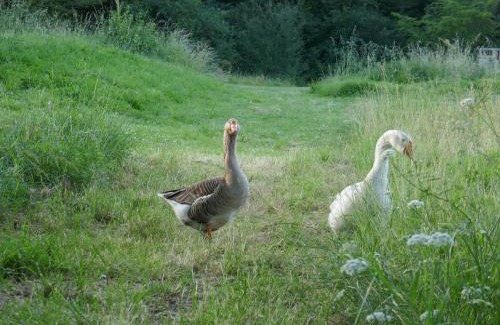 Serignac Autre | lodge Crusoé