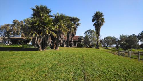 Viana do Alentejo Hôtel | Lodge Monte Do Sobral