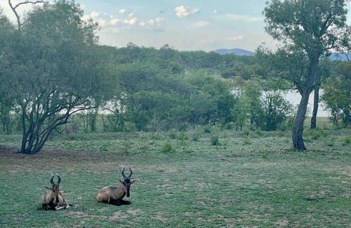 Leeupoort Maison | Lodge on Watering Hole , Zebula