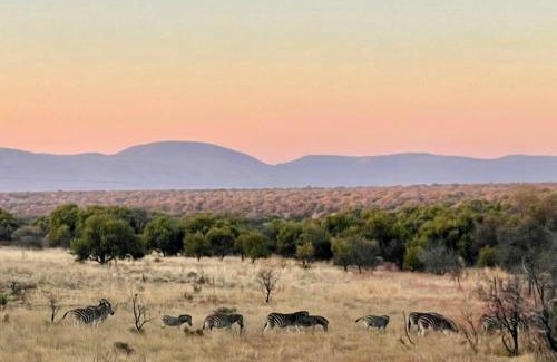 Leeupoort Maison | Lodge on Watering Hole , Zebula