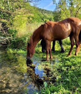 La Bonneville-sur-Iton Maison | Lodge pleine nature