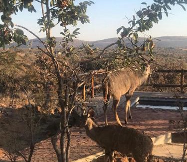 Bela-Bela Maison | Lodge Twentyfour Mabalingwe Nature Reserve