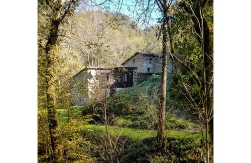 Rimont Maison | Lodging between forest and streams