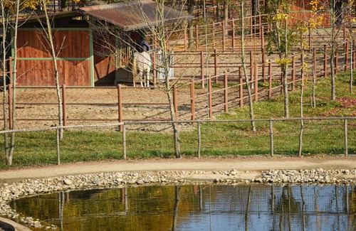 Rovigo Maison | Logement immergé dans la tranquillité de la campagne de Polesana