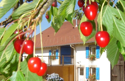 Girmont-Val-d'Ajol Cottage | Hébergement en pleine nature entre forêts et prairies