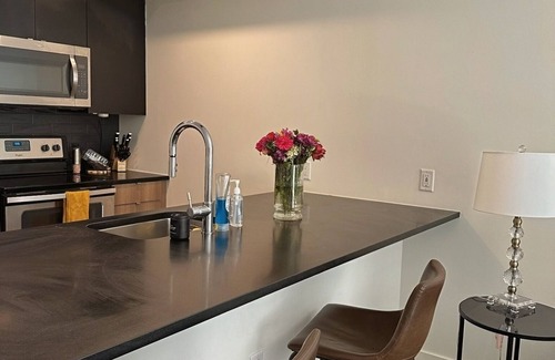 LoDo Appartement | LODO 1-bedroom Designer Apartment Meets Mile High Charm