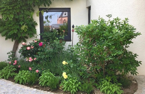 Mainz-Bingen Appartement | Loft 1 - 45 sqm/apartment, shower, WC - Oppenheim Lofts