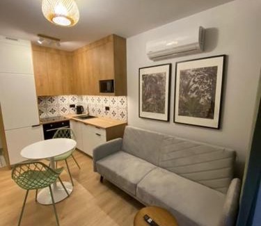 Namysłow Appartement | LOFT APARTAMENT V Namysłów